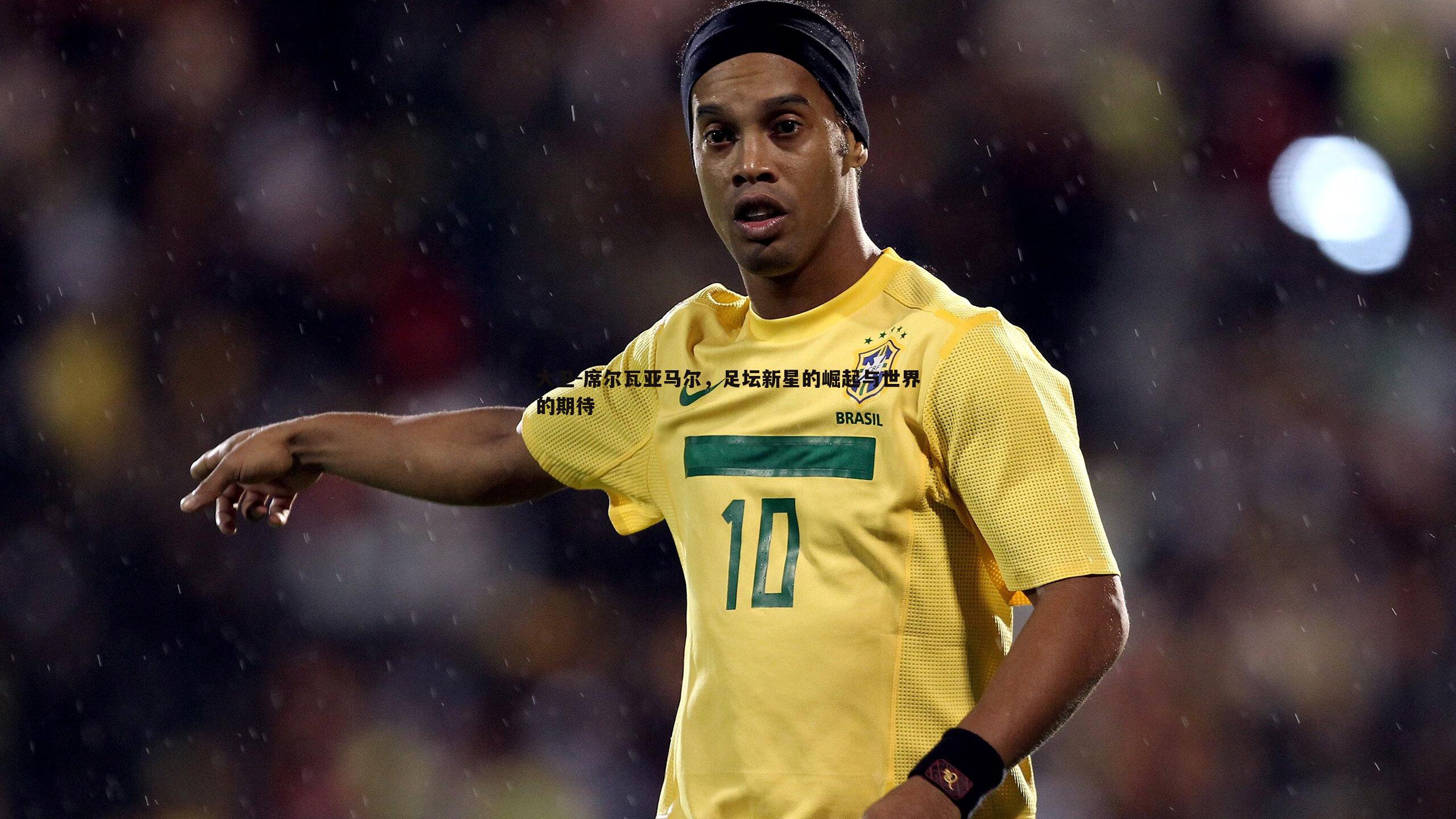 大卫-席尔瓦亚马尔，足坛新星的崛起与世界的期待