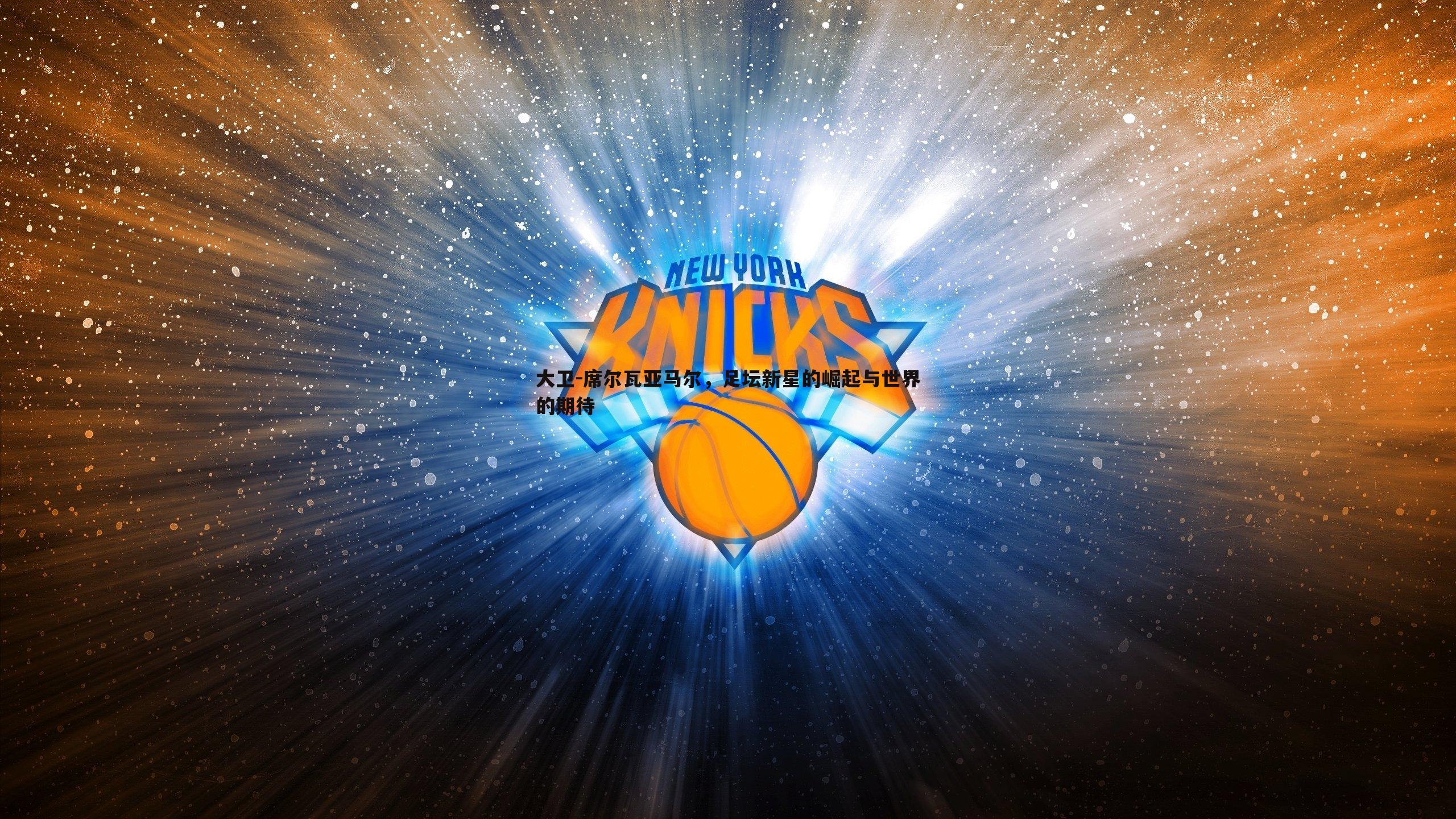 大卫-席尔瓦亚马尔，足坛新星的崛起与世界的期待