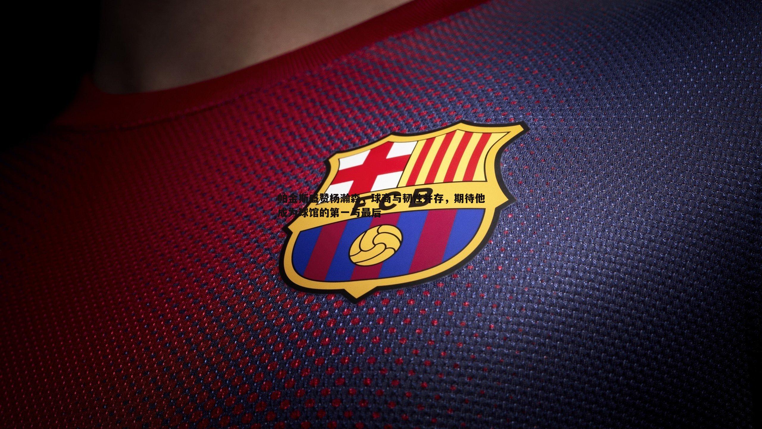 帕金斯盛赞杨瀚森，球商与韧性并存，期待他成为球馆的第一与最后