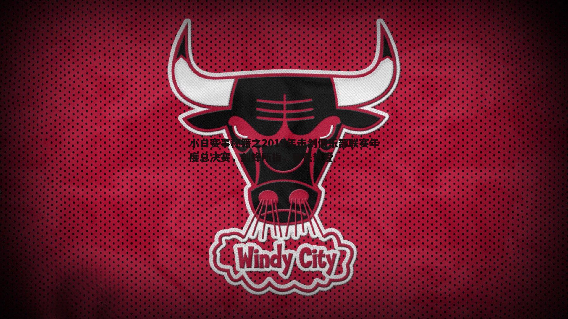 小白赛事秘籍之2019年击剑俱乐部联赛年度总决赛，剑锋所指，皆是热爱